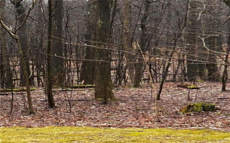 Lot 20 Pheasant Run Ln, Champion, 15622, ,Farm-acreage-lot,For Sale,Pheasant Run Ln,1647336