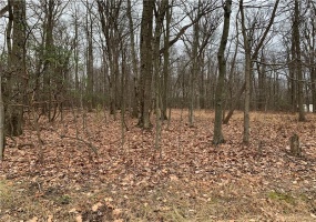 585 Spruce Peak Rd., Acme, 15610, ,Farm-acreage-lot,For Sale,Spruce Peak Rd.,1647305