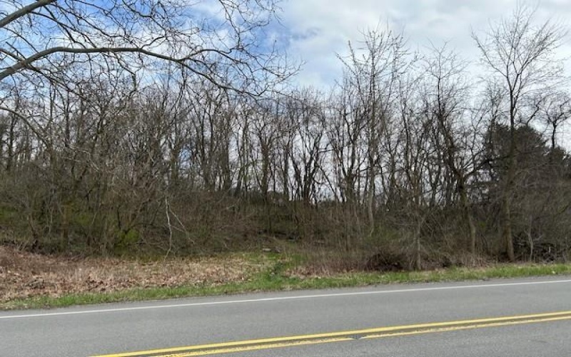 Lot 9 Coyle Curtain, 15063, 15063, ,Farm-acreage-lot,For Sale,None,Coyle Curtain,1647561