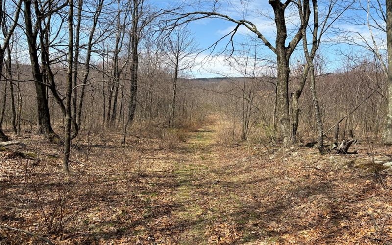 0 Grandview Road, Hyndman, 15545, ,Farm-acreage-lot,For Sale,Grandview Road,1647560