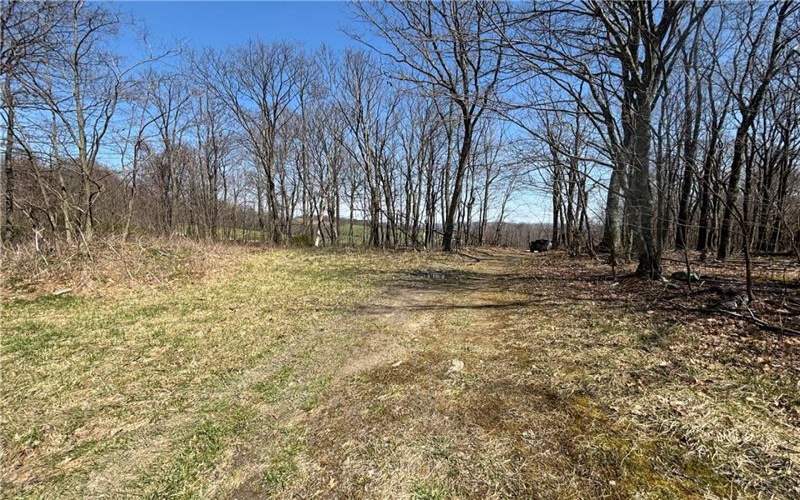 0 Grandview Road, Hyndman, 15545, ,Farm-acreage-lot,For Sale,Grandview Road,1647560