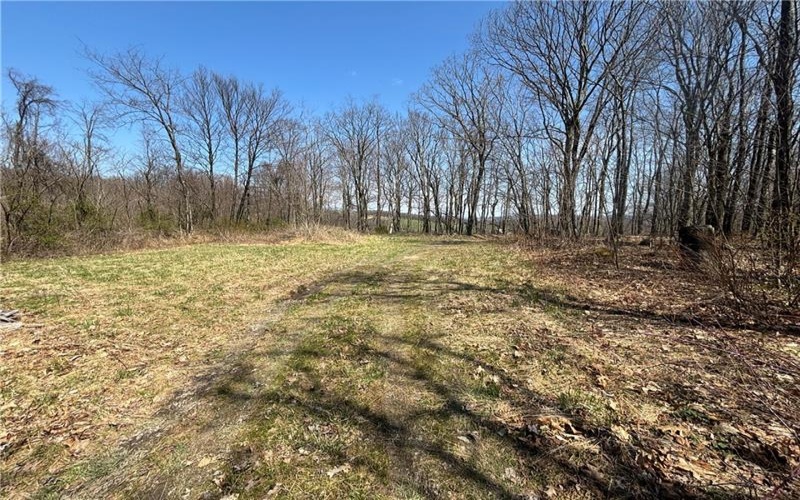 0 Grandview Road, Hyndman, 15545, ,Farm-acreage-lot,For Sale,Grandview Road,1647560