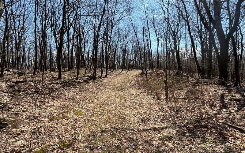 0 Grandview Road, Hyndman, 15545, ,Farm-acreage-lot,For Sale,Grandview Road,1647560