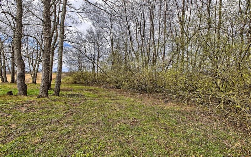 236 Buckshot Ridge Road, New Alexandria, 15670, ,Farm-acreage-lot,For Sale,None,Buckshot Ridge Road,1647943