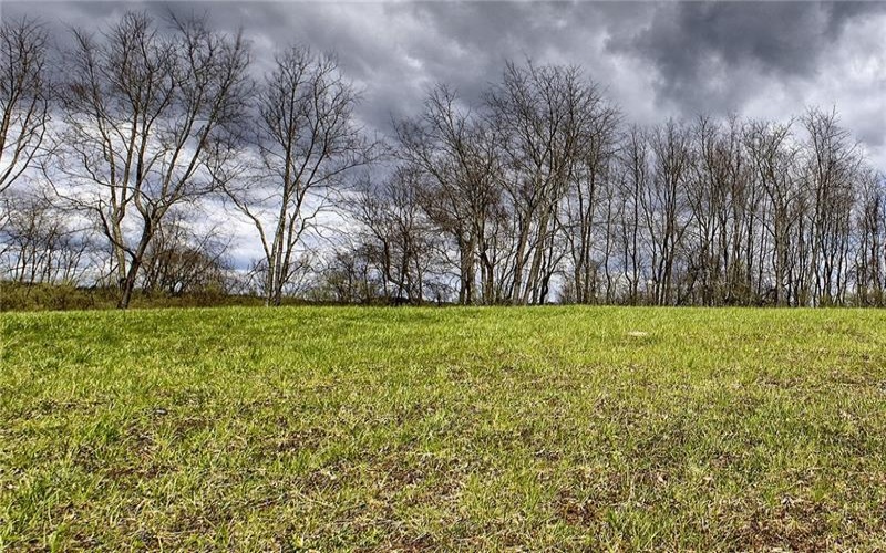 236 Buckshot Ridge Road, New Alexandria, 15670, ,Farm-acreage-lot,For Sale,None,Buckshot Ridge Road,1647943