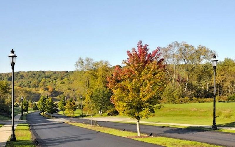 616 Cedar Ridge Drive, Leeechburg, Pa. 15656, 15656, ,Farm-acreage-lot,For Sale,none,Cedar Ridge Drive,1648857