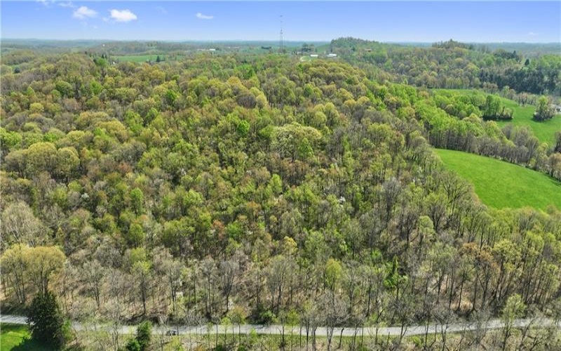 1938 Beham Ridge Road, 15323, 15323, ,Farm-acreage-lot,For Sale,Old Stone Barn Foundation,Beham Ridge Road,1651047