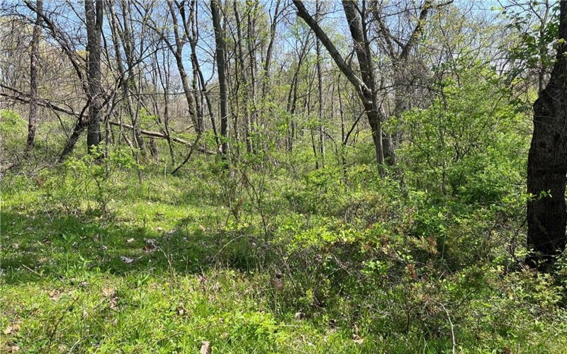 1938 Beham Ridge Road, 15323, 15323, ,Farm-acreage-lot,For Sale,Old Stone Barn Foundation,Beham Ridge Road,1651047