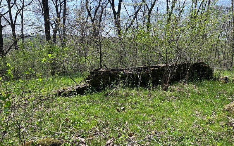 1938 Beham Ridge Road, 15323, 15323, ,Farm-acreage-lot,For Sale,Old Stone Barn Foundation,Beham Ridge Road,1651047