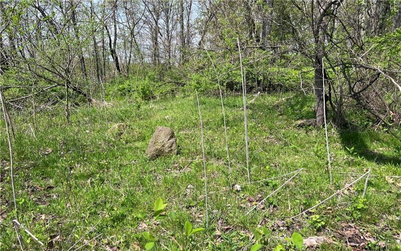 1938 Beham Ridge Road, 15323, 15323, ,Farm-acreage-lot,For Sale,Old Stone Barn Foundation,Beham Ridge Road,1651047