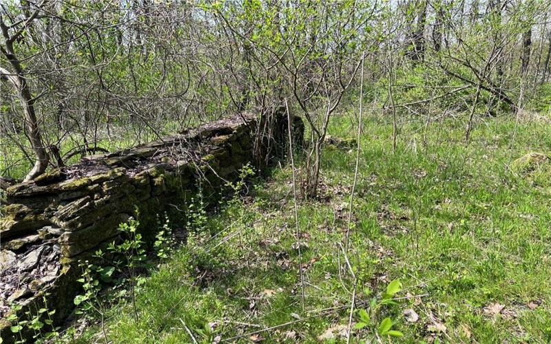 1938 Beham Ridge Road, 15323, 15323, ,Farm-acreage-lot,For Sale,Old Stone Barn Foundation,Beham Ridge Road,1651047