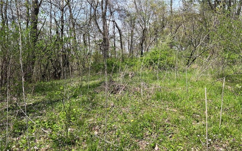 1938 Beham Ridge Road, 15323, 15323, ,Farm-acreage-lot,For Sale,Old Stone Barn Foundation,Beham Ridge Road,1651047