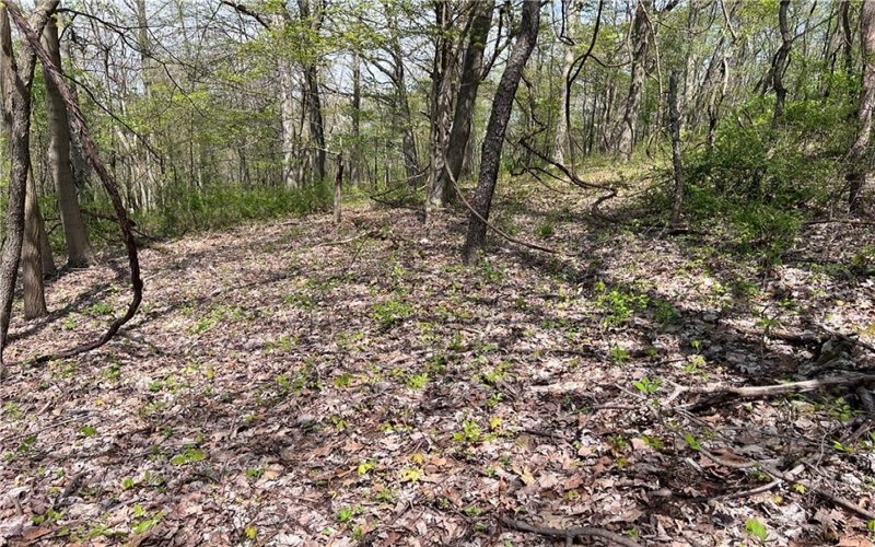 1938 Beham Ridge Road, 15323, 15323, ,Farm-acreage-lot,For Sale,Old Stone Barn Foundation,Beham Ridge Road,1651047