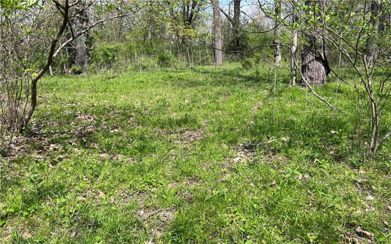 1938 Beham Ridge Road, 15323, 15323, ,Farm-acreage-lot,For Sale,Old Stone Barn Foundation,Beham Ridge Road,1651047