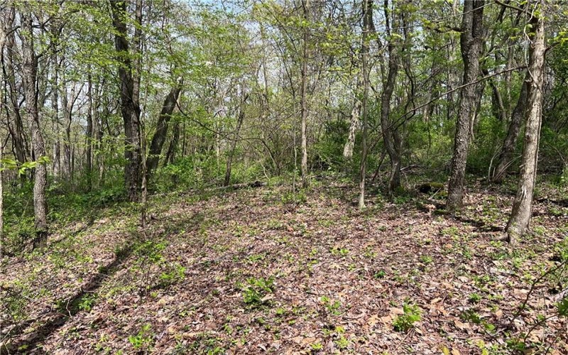 1938 Beham Ridge Road, 15323, 15323, ,Farm-acreage-lot,For Sale,Old Stone Barn Foundation,Beham Ridge Road,1651047