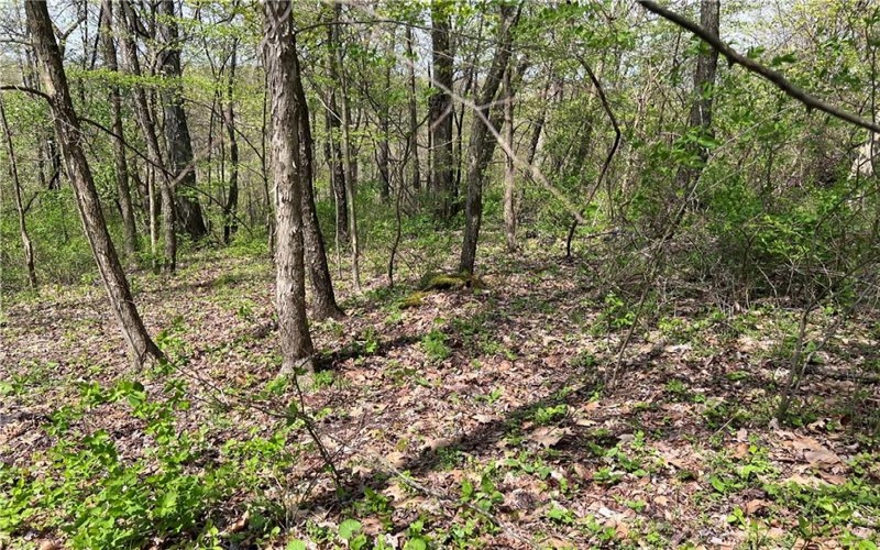 1938 Beham Ridge Road, 15323, 15323, ,Farm-acreage-lot,For Sale,Old Stone Barn Foundation,Beham Ridge Road,1651047