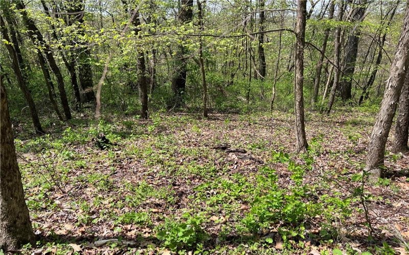 1938 Beham Ridge Road, 15323, 15323, ,Farm-acreage-lot,For Sale,Old Stone Barn Foundation,Beham Ridge Road,1651047