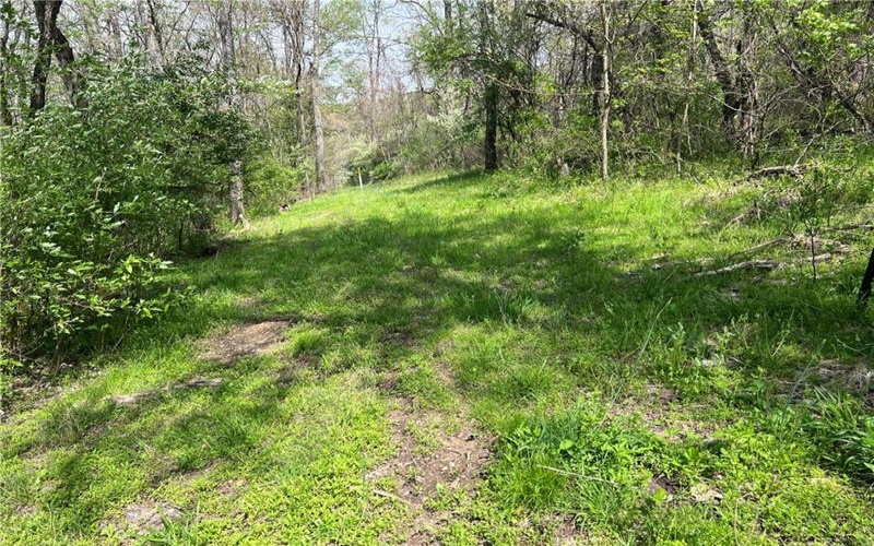 1938 Beham Ridge Road, 15323, 15323, ,Farm-acreage-lot,For Sale,Old Stone Barn Foundation,Beham Ridge Road,1651047