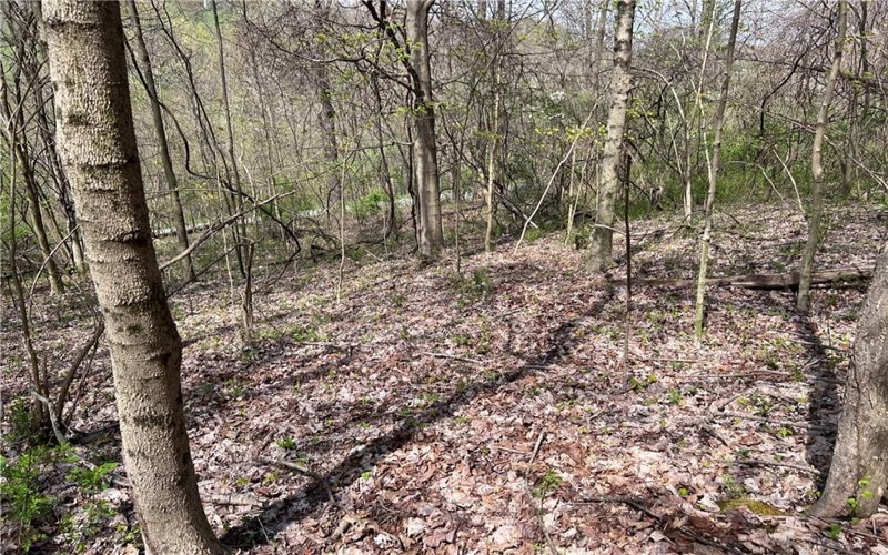 1938 Beham Ridge Road, 15323, 15323, ,Farm-acreage-lot,For Sale,Old Stone Barn Foundation,Beham Ridge Road,1651047