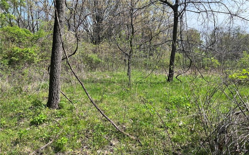 1938 Beham Ridge Road, 15323, 15323, ,Farm-acreage-lot,For Sale,Old Stone Barn Foundation,Beham Ridge Road,1651047