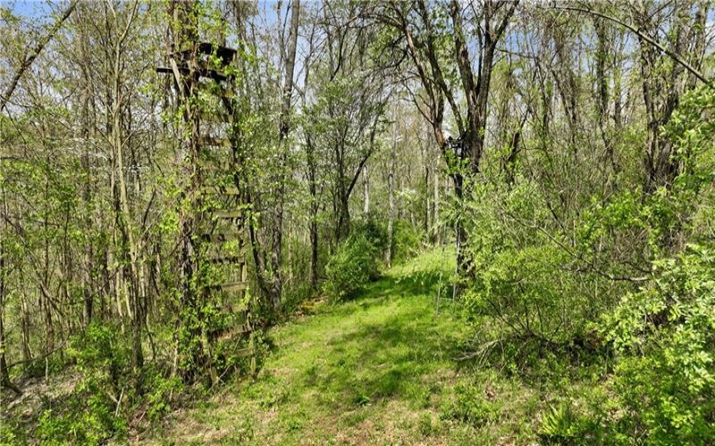 1938 Beham Ridge Road, 15323, 15323, ,Farm-acreage-lot,For Sale,Old Stone Barn Foundation,Beham Ridge Road,1651047