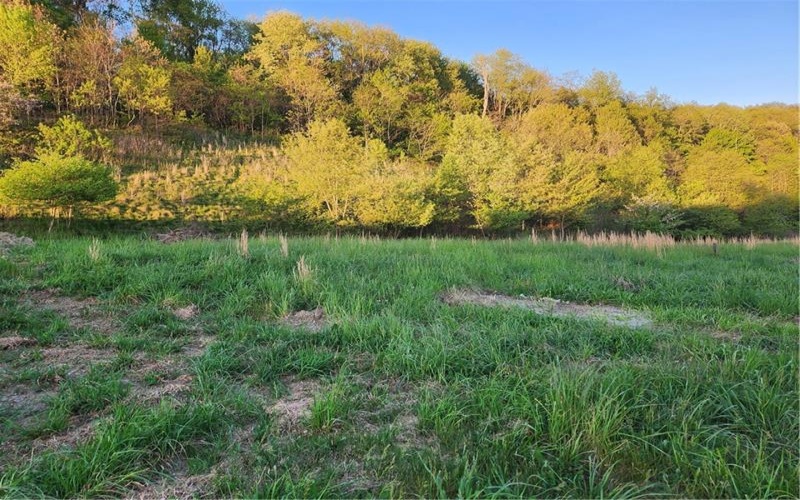 620 CEDAR RIDGE DRIVE, APOLLO, 15613, ,Farm-acreage-lot,For Sale,NONE,CEDAR RIDGE DRIVE,1651640