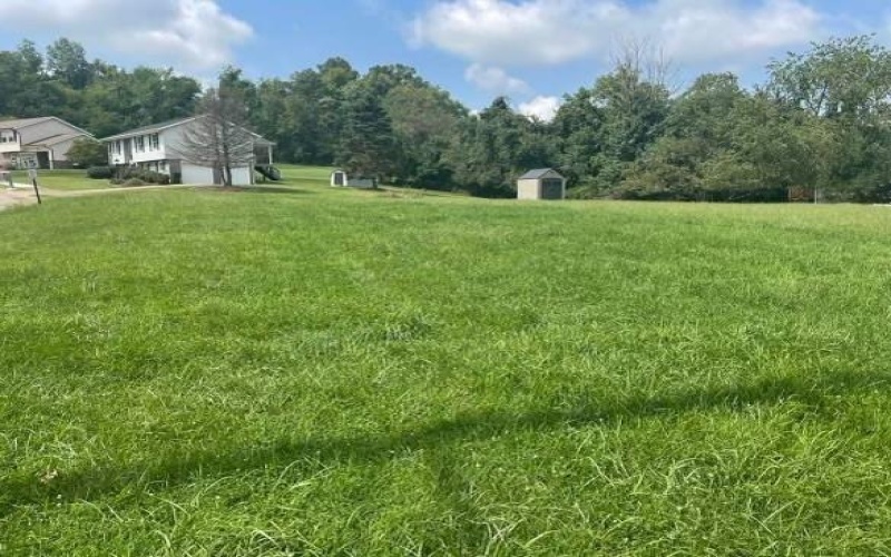 0 MARELDA AVENUE, DONORA, 15033, ,Farm-acreage-lot,For Sale,MARELDA AVENUE,1651882