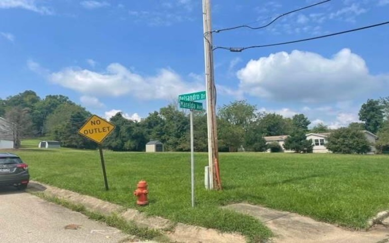 0 MARELDA AVENUE, DONORA, 15033, ,Farm-acreage-lot,For Sale,MARELDA AVENUE,1651882