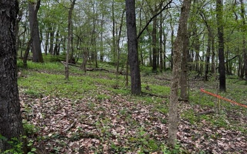 Lot 216 Thompsonville Road, McMurray, 15317, ,Farm-acreage-lot,For Sale,Thompsonville Road,1651744