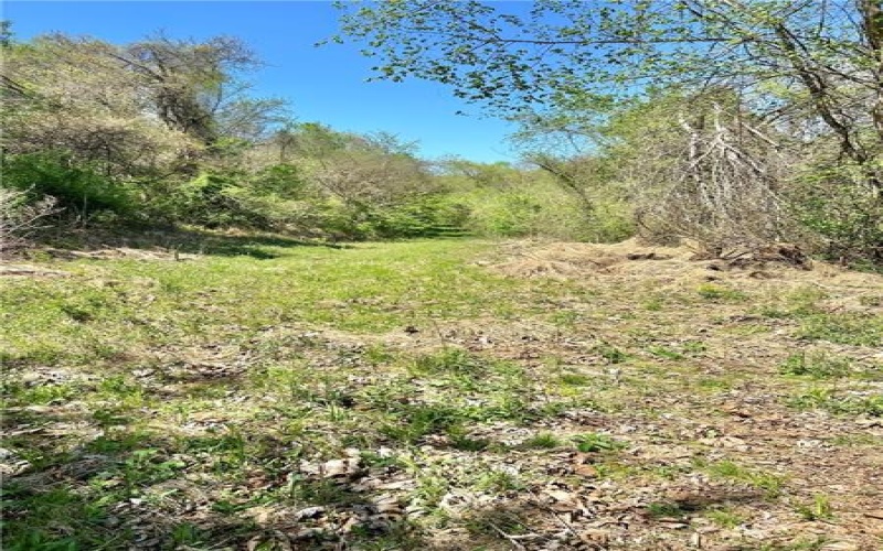 0 Daisytown Rd, Brownsville, 15417, ,Farm-acreage-lot,For Sale,Daisytown Rd,1651889