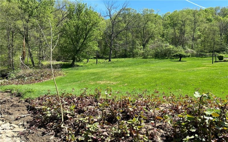 0 Daisy Lane, Daisytown, 15427, ,Farm-acreage-lot,For Sale,4 car garage,Daisy Lane,1651909