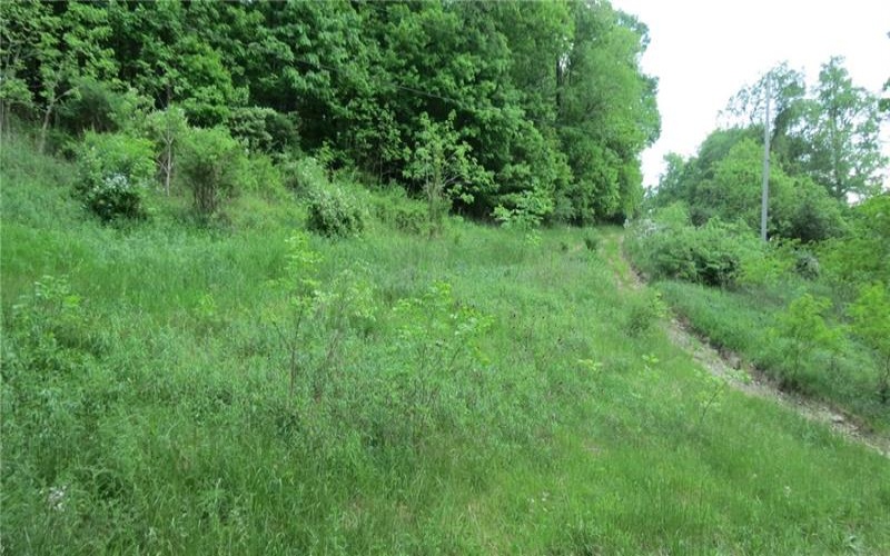 0 WISEBECKER LN., Monongahela, 15063, ,Farm-acreage-lot,For Sale,WISEBECKER LN.,1652746