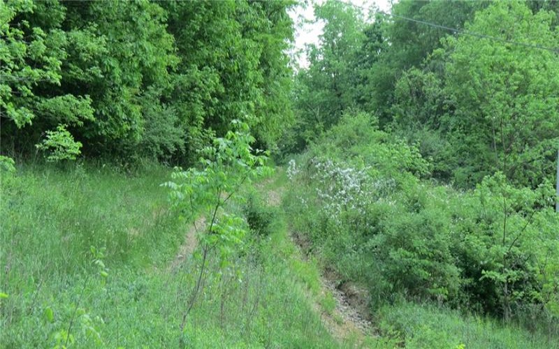 0 WISEBECKER LN., Monongahela, 15063, ,Farm-acreage-lot,For Sale,WISEBECKER LN.,1652746