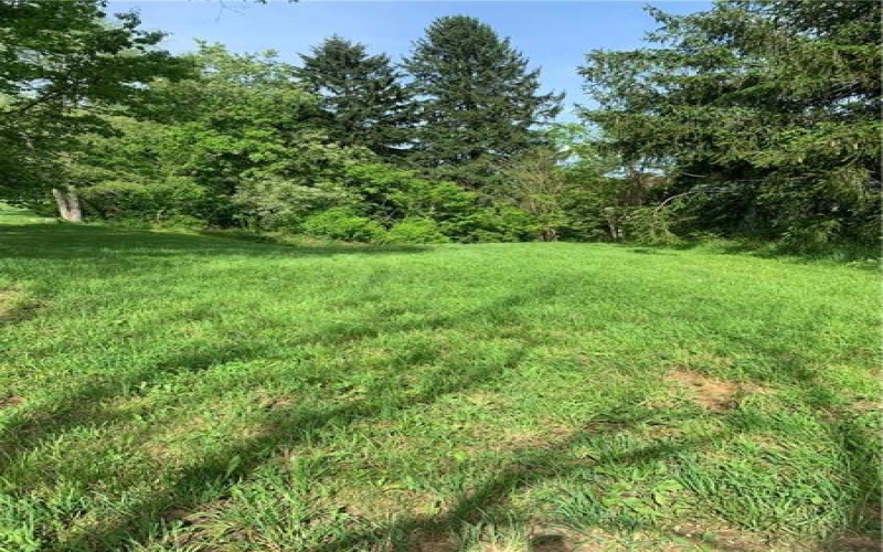 116 Daisy, Lowber, 15660, ,Farm-acreage-lot,For Sale,Daisy,1652738