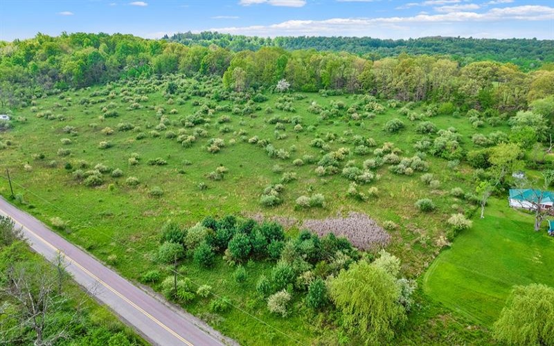 0 SWANK ROAD/NATURE RUN, LIGONIER, 15658, ,Farm-acreage-lot,For Sale,SWANK ROAD/NATURE RUN,1653023