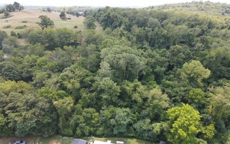 1204 PITTSBURGH ROAD, Uniontown, 15401, ,Farm-acreage-lot,For Sale,PITTSBURGH ROAD,1654987
