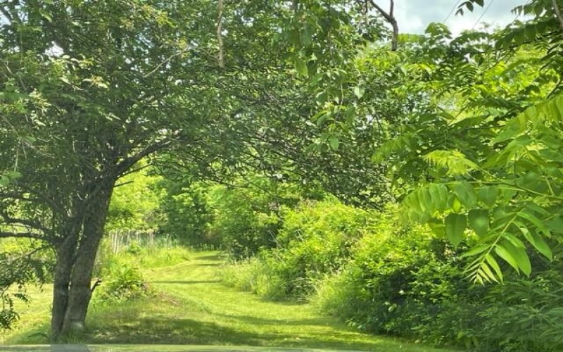 1204 PITTSBURGH ROAD, Uniontown, 15401, ,Farm-acreage-lot,For Sale,PITTSBURGH ROAD,1654987