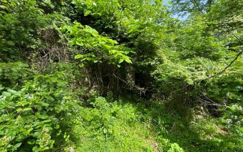 1204 PITTSBURGH ROAD, Uniontown, 15401, ,Farm-acreage-lot,For Sale,PITTSBURGH ROAD,1654987