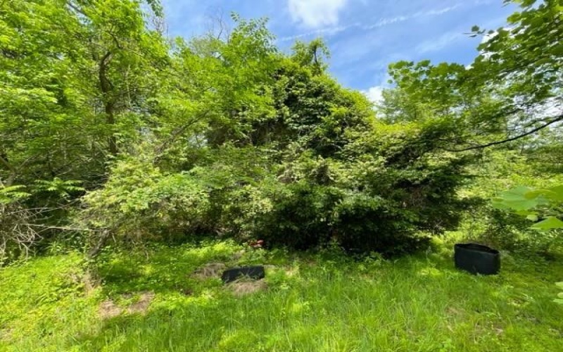 1204 PITTSBURGH ROAD, Uniontown, 15401, ,Farm-acreage-lot,For Sale,PITTSBURGH ROAD,1654987