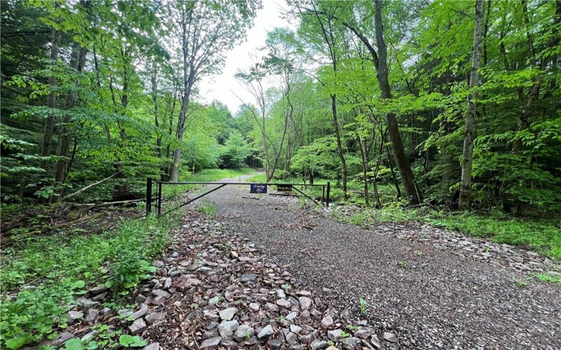 0 Miller Run Road, Meyersdale, 15552, ,Farm-acreage-lot,For Sale,Miller Run Road,1655156