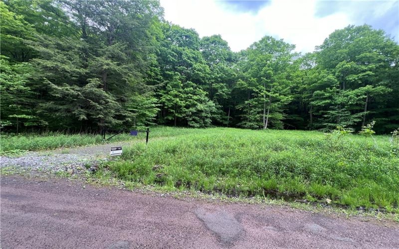 0 Miller Run Road, Meyersdale, 15552, ,Farm-acreage-lot,For Sale,Miller Run Road,1655156