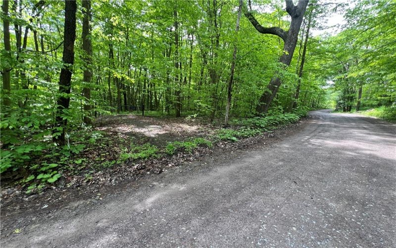 0 Miller Run Road, Meyersdale, 15552, ,Farm-acreage-lot,For Sale,Miller Run Road,1655156