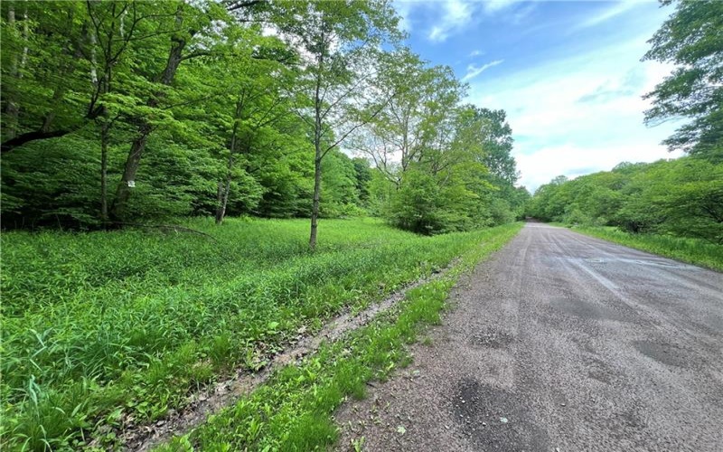 0 Miller Run Road, Meyersdale, 15552, ,Farm-acreage-lot,For Sale,Miller Run Road,1655156