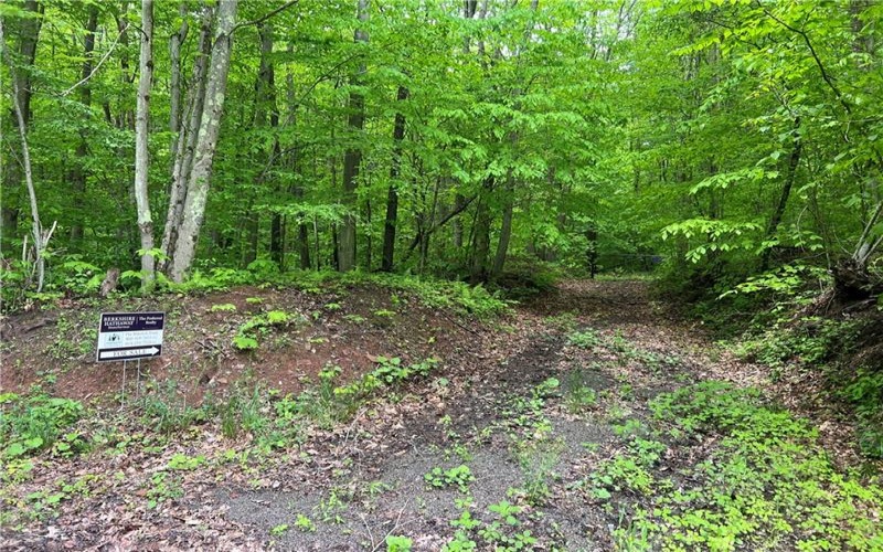 0 Miller Run Road, Meyersdale, 15552, ,Farm-acreage-lot,For Sale,Miller Run Road,1655156