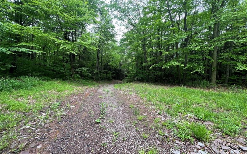 0 Miller Run Road, Meyersdale, 15552, ,Farm-acreage-lot,For Sale,Miller Run Road,1655156