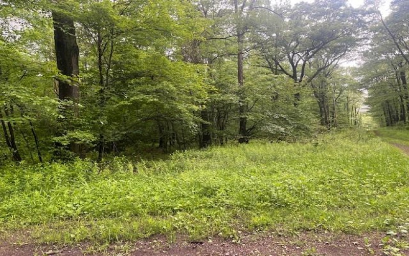 Lot 180 and 181 Laurel Summit Road, Jennerstown, 15531, ,Farm-acreage-lot,For Sale,Laurel Summit Road,1655386