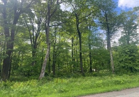 Lot # 21 Village Run Road, Jennerstown, 15531, ,Farm-acreage-lot,For Sale,Village Run Road,1655957