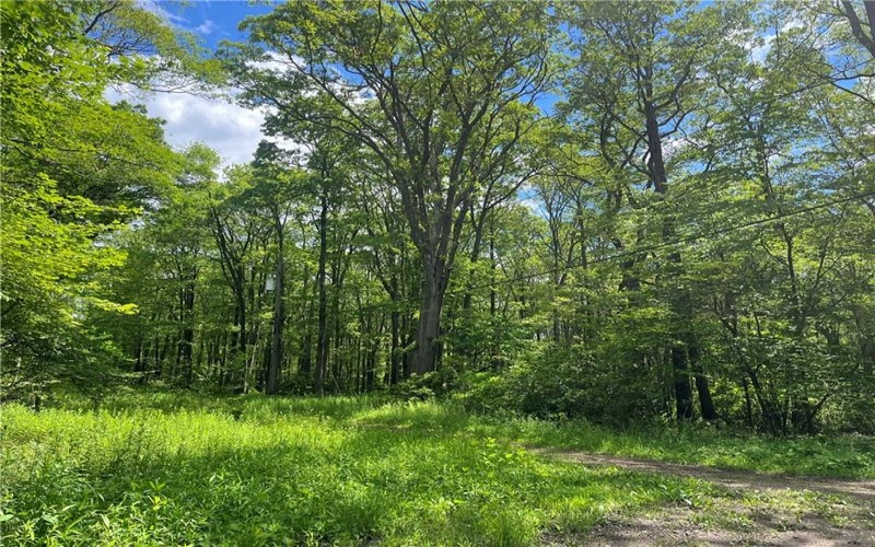 Lots 50, 51, 68, 69 Innsbruck Trail, Jennerstown, 15547, ,Farm-acreage-lot,For Sale,Innsbruck Trail,1657506