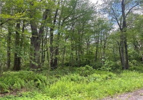 74, 75, 76, 77 Innsbruck Trail, Jennerstown, 15547, ,Farm-acreage-lot,For Sale,Innsbruck Trail,1657508