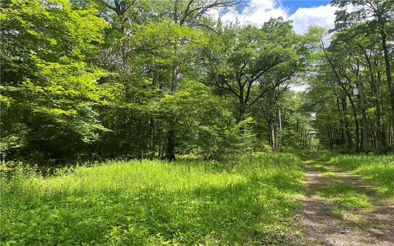 Lots 81, 82, 83, 84 Innsbruck Trail, Jennerstown, 15547, ,Farm-acreage-lot,For Sale,Innsbruck Trail,1657511